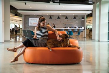 The furniture choices throughout the building are wide enough for Associates to lounge with their furry co-workers during meetings