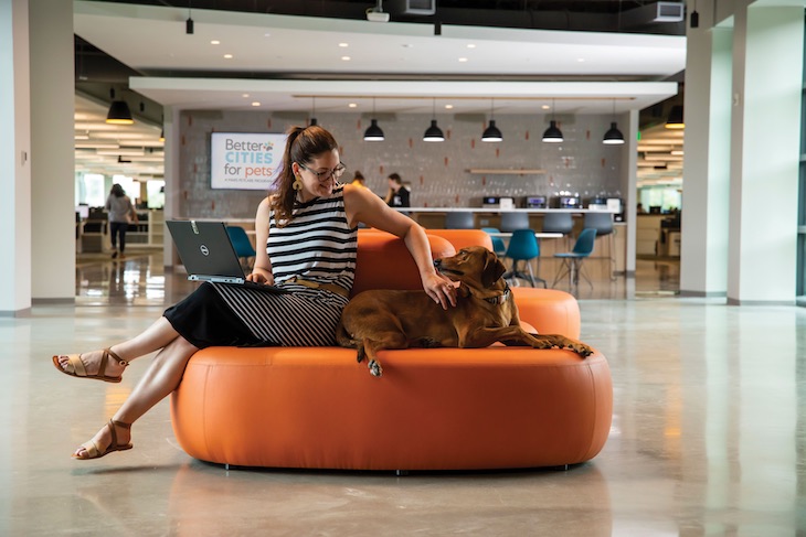 The furniture choices throughout the building are wide enough for Associates to lounge with their furry co-workers during meetings
