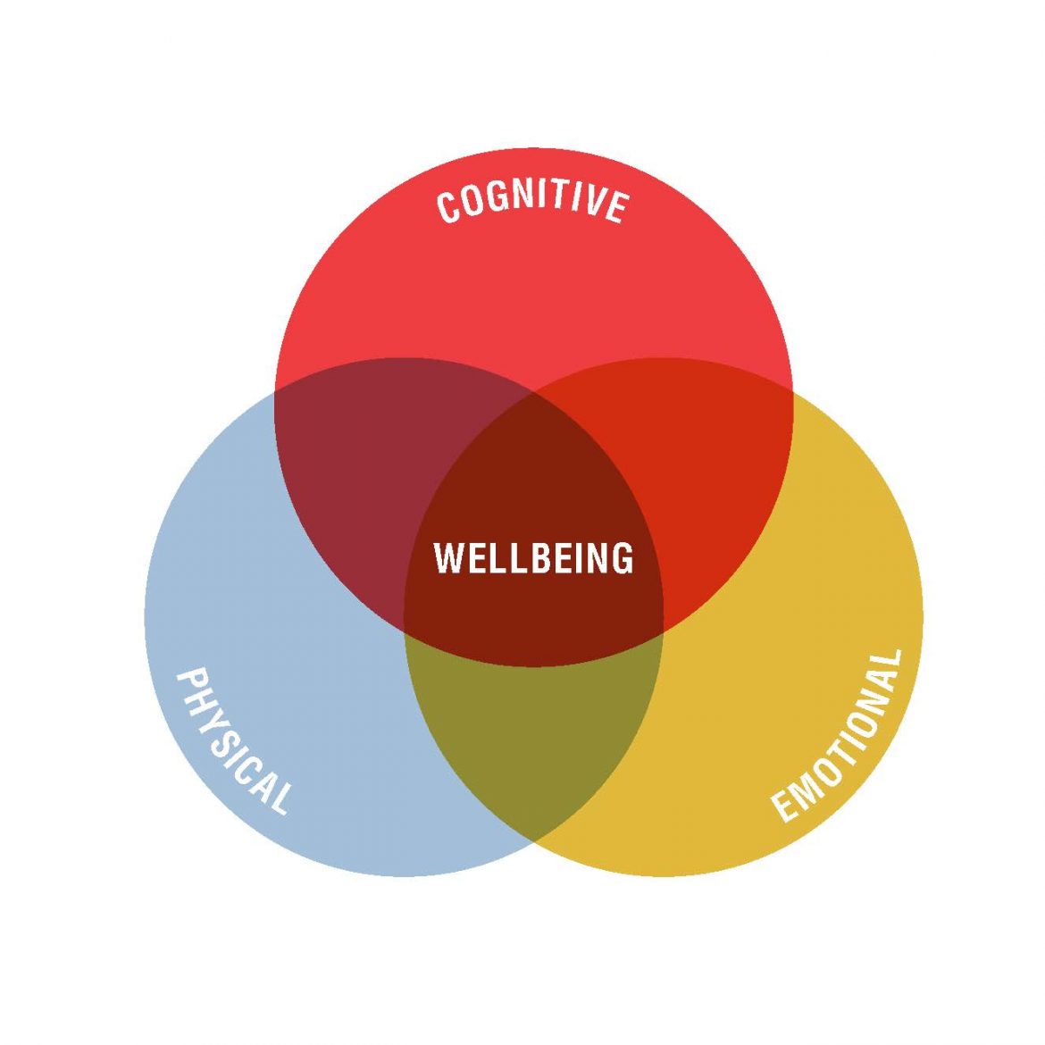 Home Office Well-Being: Cognitive, Emotional and Physical
