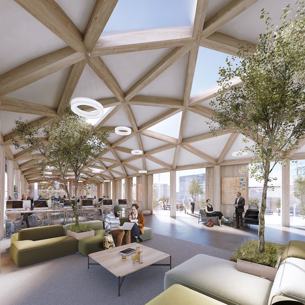 biophilic design