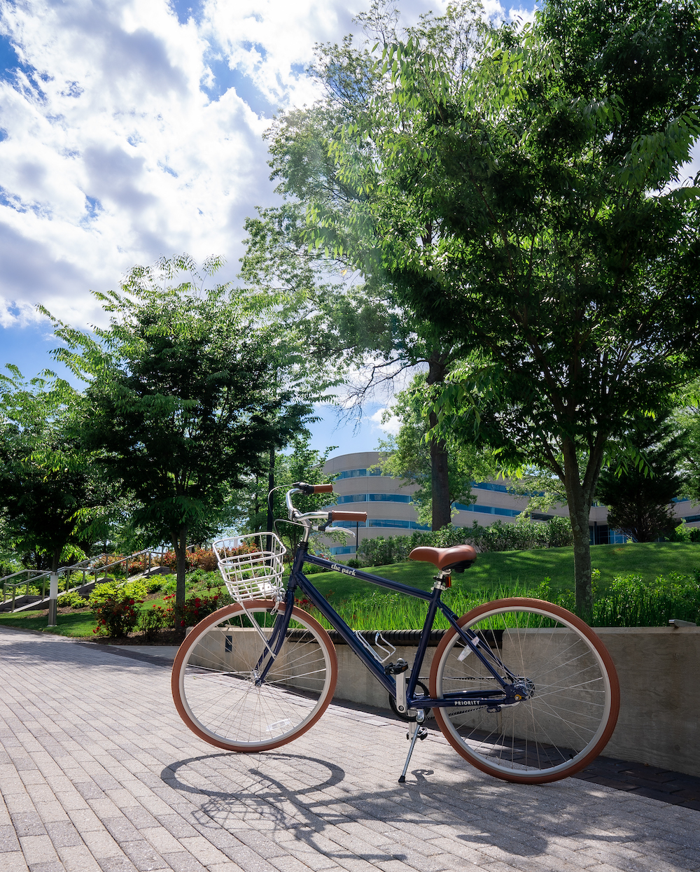 outdoor workspaces the park summer