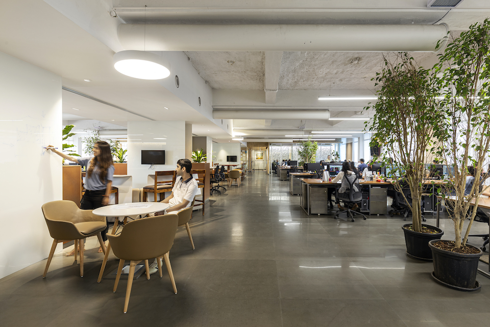 Edifice open plan