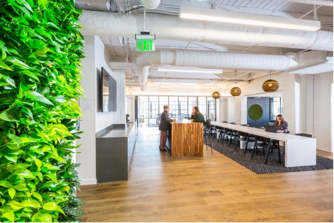 Living wall and open floor plan in gyro’s Cincinnati office