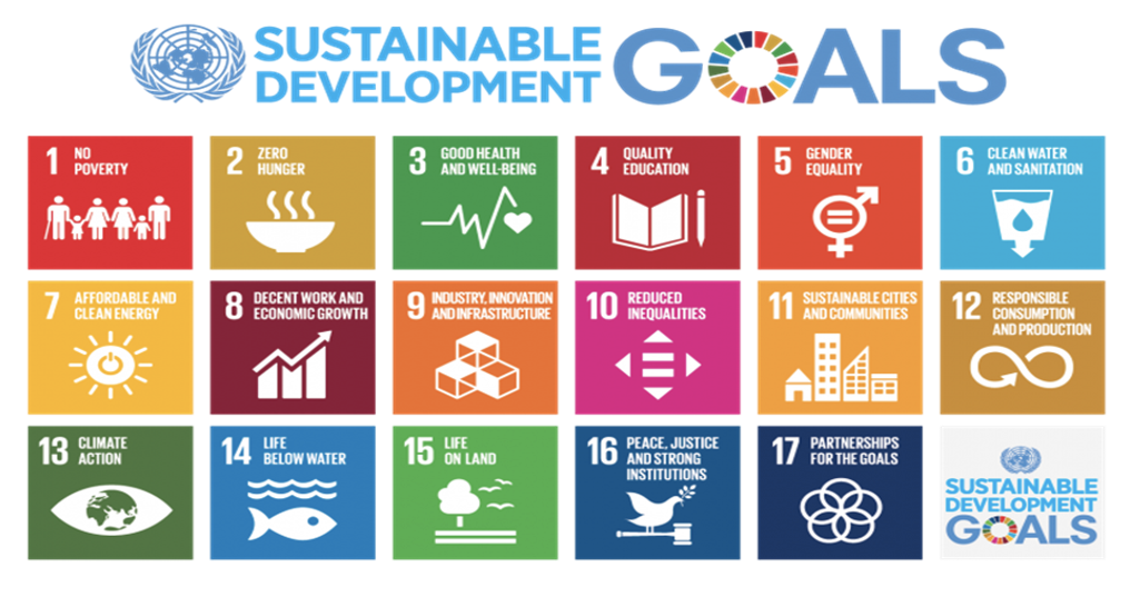 United Nations Sustainable Development Goals