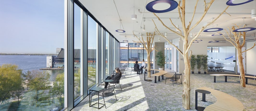 wave office