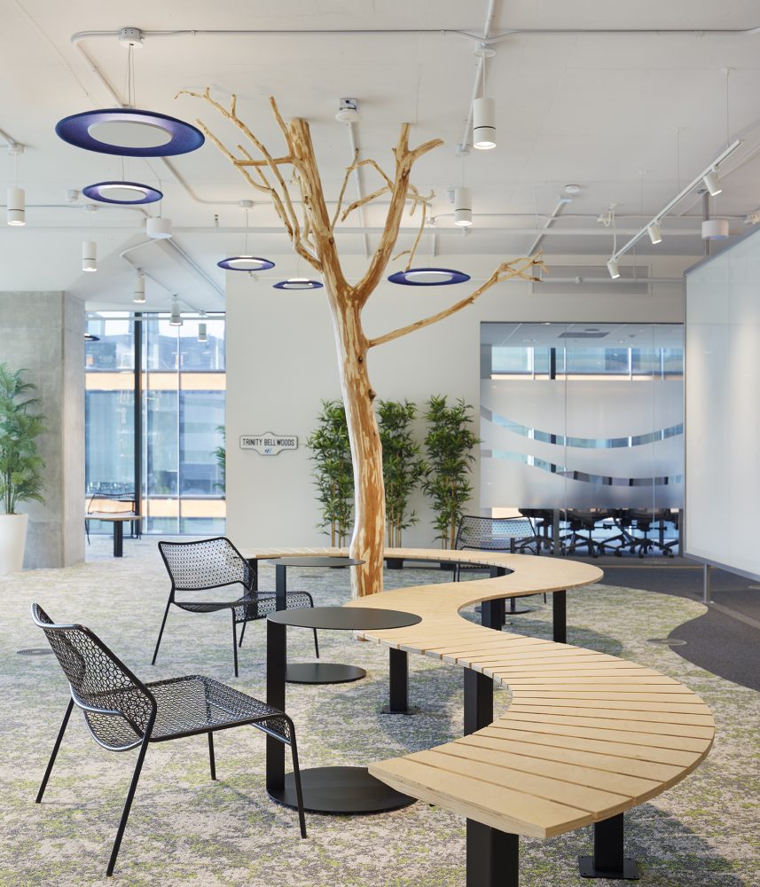 wave office